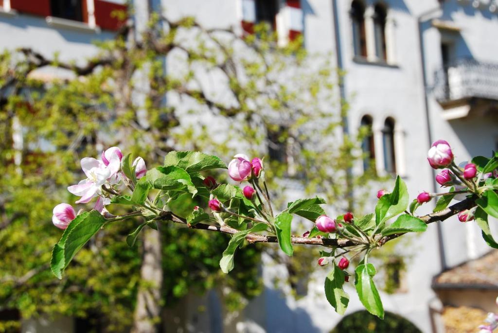 Schloss Paschbach Eppan an der Weinstraße Exterior foto